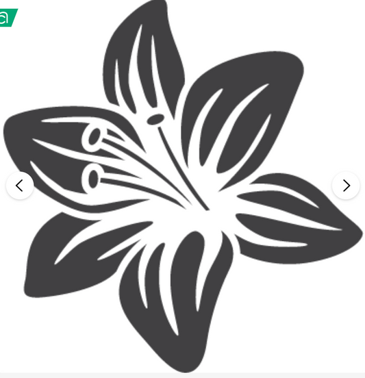 Lilly (on sleeve)